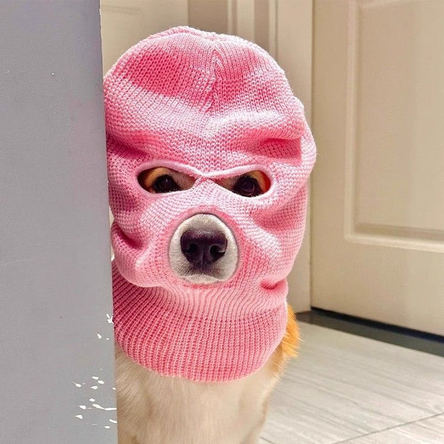 Corgi Puppy Headgear Hat Dog Creative Headdress