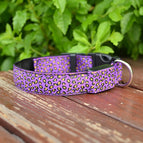 L / Purple