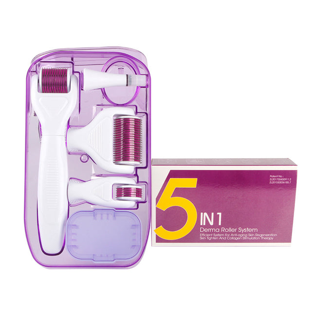 DermaKit™ 6-in-1 Dermarollerstel Gesigs-mikronaaldwerkstel Gesigsvelsorg-geskenkstel