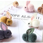 6pcs clip