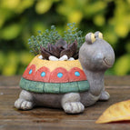 Turtle1