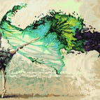 No Frame / 40X50
