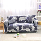 Q / 1 seater