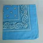 12pcs Blue