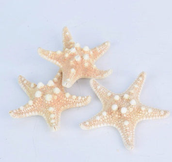 Forest department seaside resort manual folder