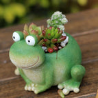 Frog1