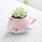 Pink dino