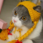 Yellow / M