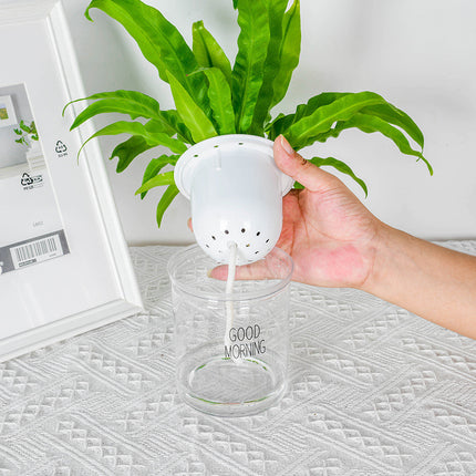 Double Tier Hydroponic Epipremnum Aureum Self-watering Flowerpot Home Decor Double Tier Visual Water Level Flowerpot