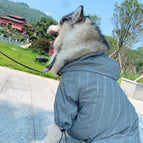 Reflective / Dog / 3XL