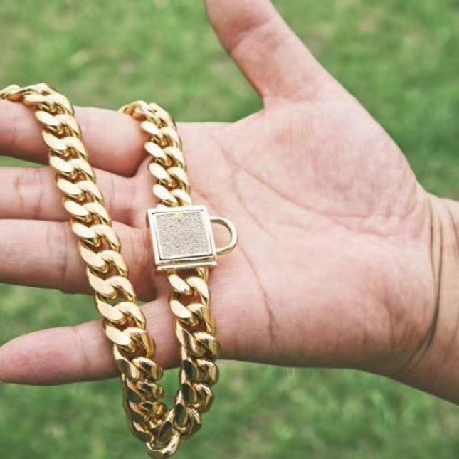 Pet dog collar stainless steel titanium steel gold encryption chain buckle dog chain