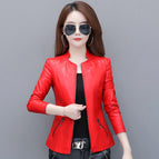 Red / 3XL