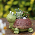 Turtle2