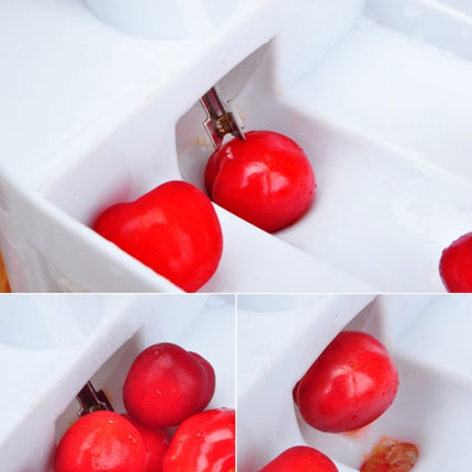 Cherry Nucleator Fruit Nucleator Grape Nucleator