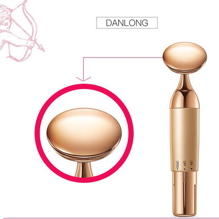 Beauty Equipment Home Electric Facial Importer