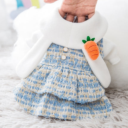 New skirt dress autumn and winter dog woolen small general cat pet clothes