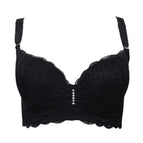 Black / 100 / C