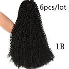 Black6pcs