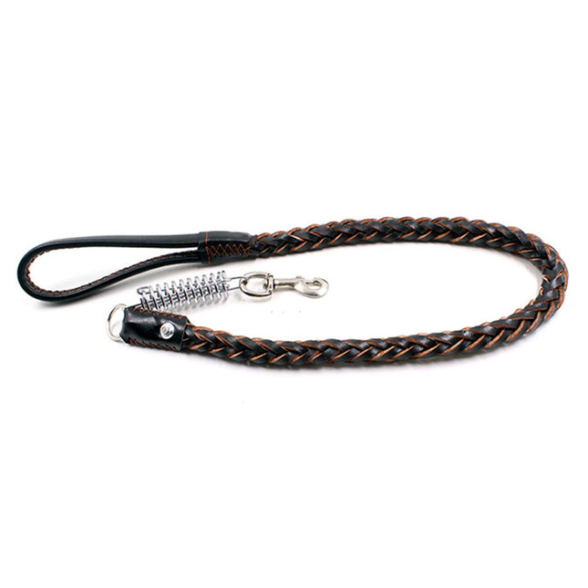 Pet Eight-strand Cowhide Spring Traction Rope