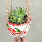 hemp rope / S