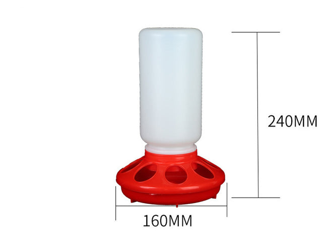 The Bird Feeds The Water Bottle To The Pigeon With A Waterer