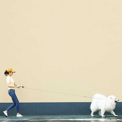 Meng Wangxing UFO Retractable Leash Dog Small and Medium-sized Dog Teddy Dog Leash Golden Retriever Dog Chain Pet Supplies