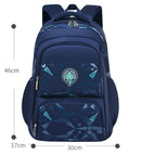Royal Blue / L