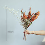 Photo Color / 4  style