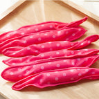 Rose Red 6pcs