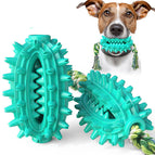 Lake Blue / Cactus with rope