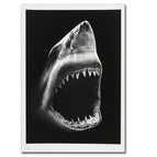 Photo Color / 12x18inch