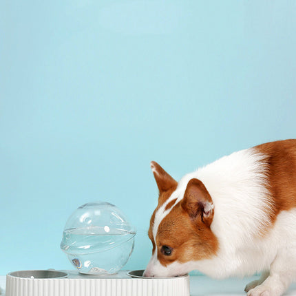 Plastic Pet Feeding Drinkers Cat Dog Automatic Feeder Drinking Animal Pet Bowl Water Bowl For Pets Dog Automatic Drinkers