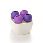 Purple / White bottom