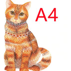 House cat A4