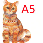 House cat A5
