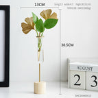 Ginkgo biloba