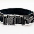Black / L
