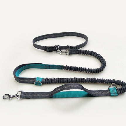 Amazon direct pet supplies multi-function running reflective pull dog leash double elastic dog leash traction