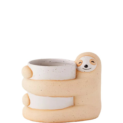 Cute, Creative And  Green Plant Potted Plants