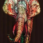 Elephant / 180X180