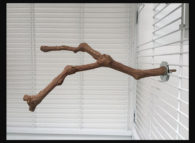 Add a stand pole to the cage for parrot birds