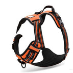 Orange / L