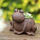 Frog2