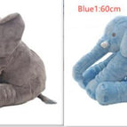 Gray1 and Blue1