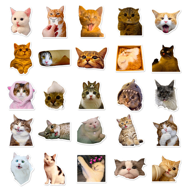 50 Pieces Of Realistic Kitten Creative Decorative Water Cup Notebook Journal Small Stickers