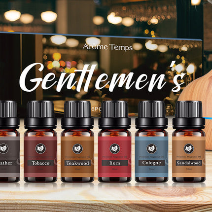 16 Theme Atmosphere Flameless Essential Oil Sets