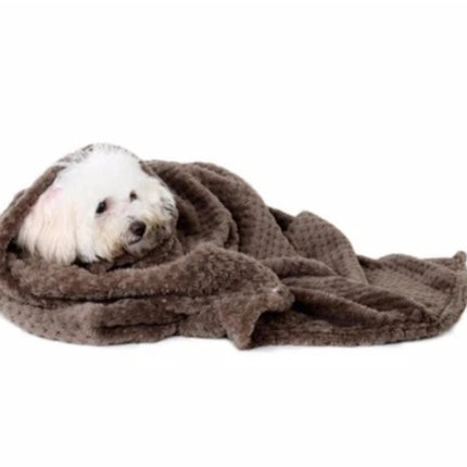 Pure Cotton Blanket