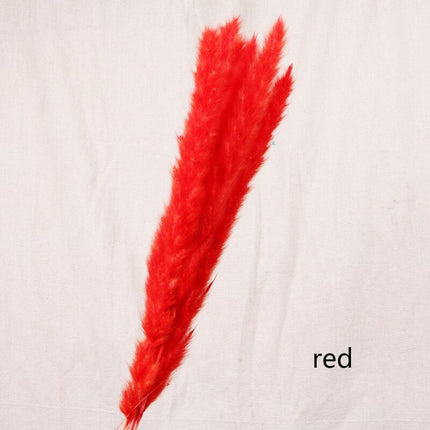 Reed dried flower home decoration