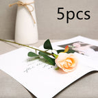 Champagne5pcs