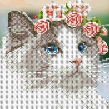 2ef4f10c423fb3b448fa181f65fa1d56